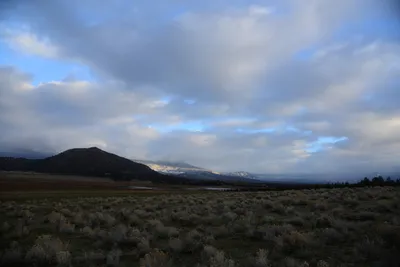 DSC_2942 (Large).JPG